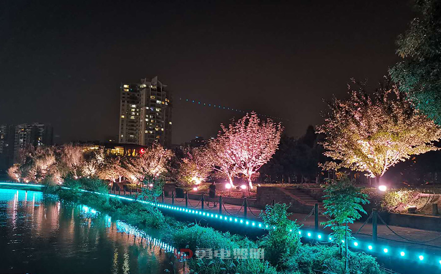 1572407852245065.jpg 11.jpg