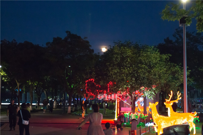 1626418550346276.jpg 9.jpg